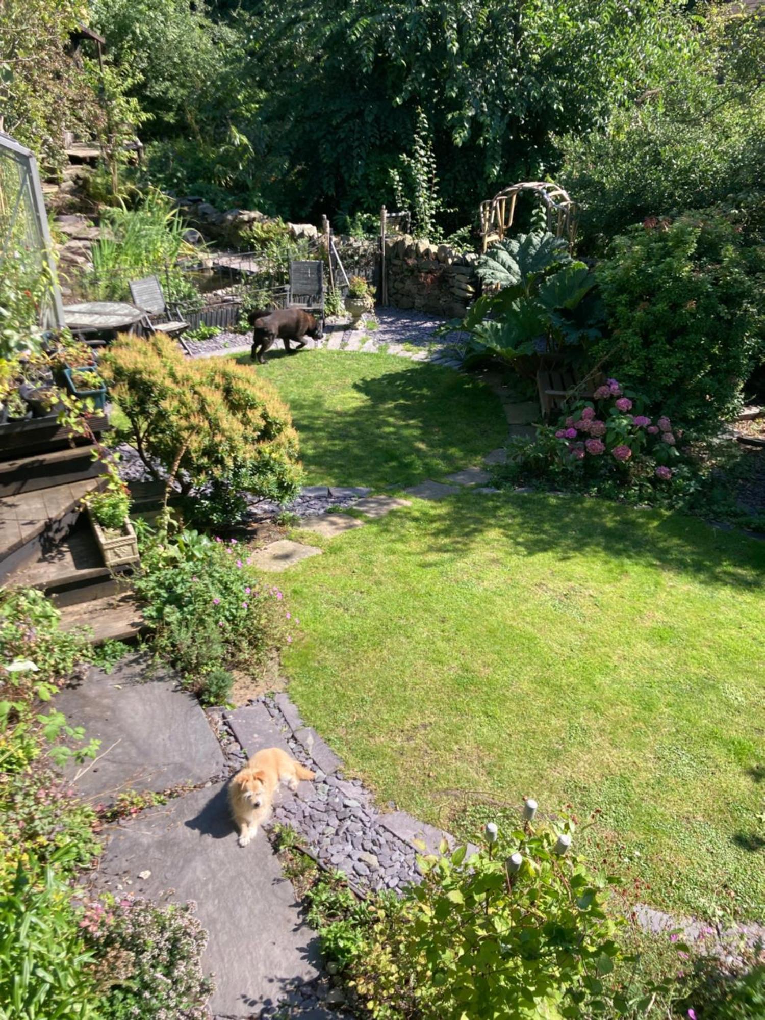 Ivy House Villa Bangor  Bagian luar foto